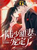 陆少宠妻超甜哒