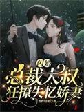 闪婚大叔宠妻上瘾