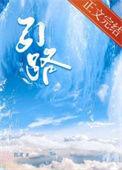 引路的风筝