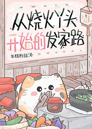 从烧火丫头开始的发家路类似