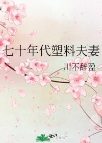 七十年代塑料夫妻 川不辞盈