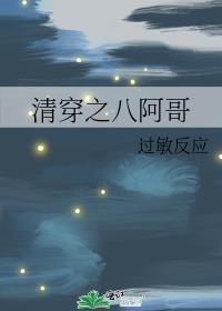 清穿之八阿哥海兰珠