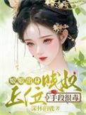 娘娘出身贱奴上位手段很毒电视剧