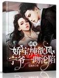 宁爷一吻沦陷在线看