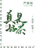 茶很好喝是什么梗