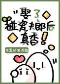 娶了碰瓷夫郎后真香 作者花里胡哨淡雅