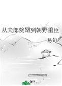 从夫郎赘婿到朝野重臣by易旬