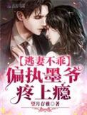 墨少轻宠小逃妻大结局