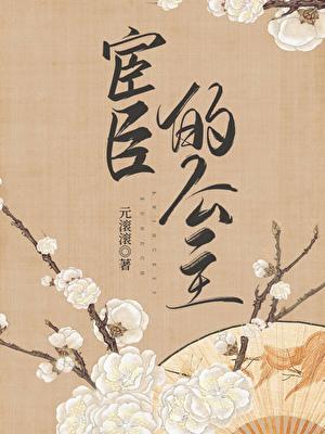 宦官公主古言