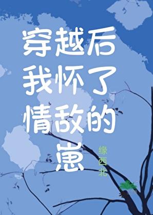 我怀了情敌的孩子+番外
