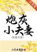 炮灰小夫朗