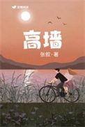 高墙内外
