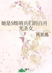 她是S级哨兵们的白月光圣女 by 风茶茶