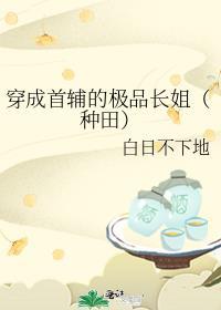 穿成首辅家的小野猫格格党