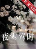 请播放夜雪