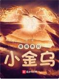 偷偷养只小金乌精校版