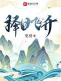 择日飞升讲的什么故事