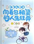 重生九零之向着包租婆的人生狂奔燕三月