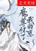 魔尊怀了仙尊的孩子章节
