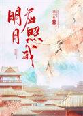 明月照我心的下一句