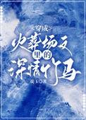 穿书文火葬场