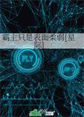 霸主的意思