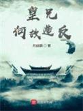 皇兄何故起点