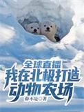 北极动物视频纪录片