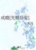 成瘾简介