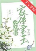 不幸摔碎家传宝玉之后阅读