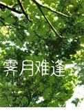 霁月难逢txt百度