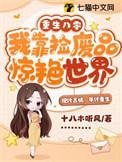 重生八零我靠捡废品惊艳世界TXT