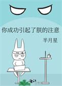 你成功引起了朕的注意无弹窗 啦