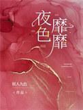 夜色靡靡在线阅读