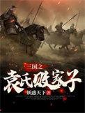 三国之袁家孽子26章