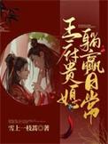 王府小媳妇无错版