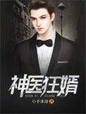神医狂婿叶凡
