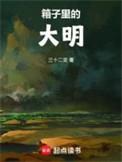 箱子里的大明txt