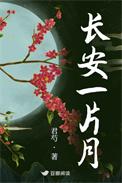 长安一片月书法作品