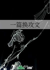 一篇换攻文百度