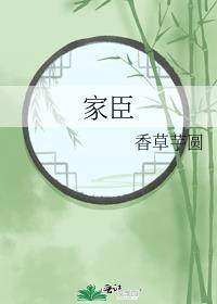 家臣讲的什么