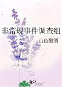 非常案件调查手记