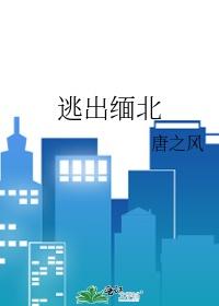 逃出缅北电视剧