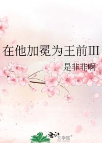 在他加冕为王前三