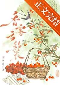 香雾云鬟讲了什么