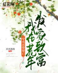 穿成了恶婆婆的诰命之路免费阅读