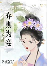 弃则为妾百度