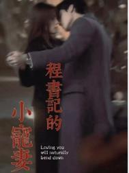 书记夫人的故事