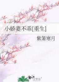 小娇妻是什么意思网络用语