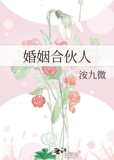 婚姻合伙人全文阅读九微